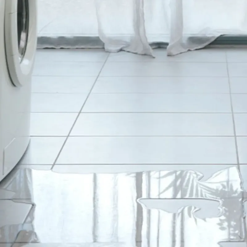 Appliance Leak Cleanup in Indian Heights, IN
