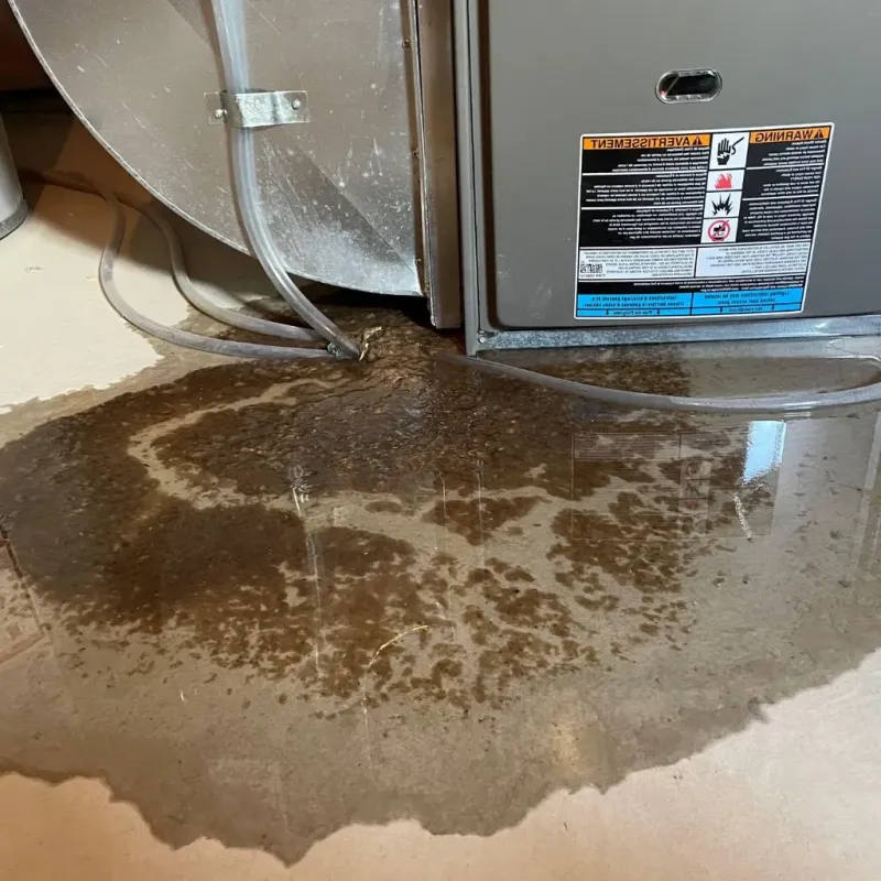 Pipe Burst and Leak Restoration in Indian Heights, IN