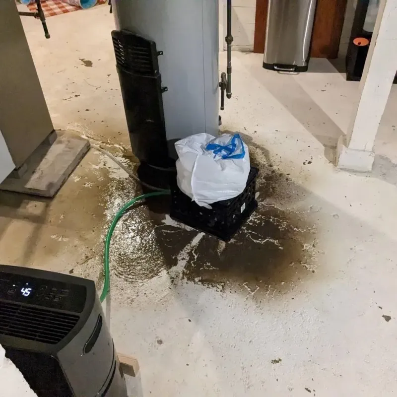Sewage Backup Cleanup Service in Indian Heights, IN